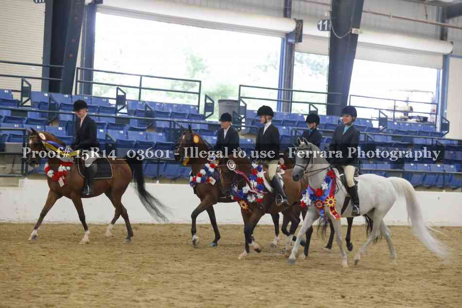 Proof Number 15R14_03601