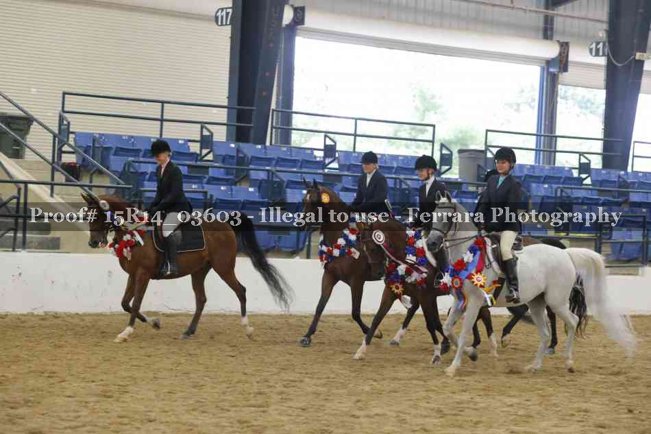 Proof Number 15R14_03603