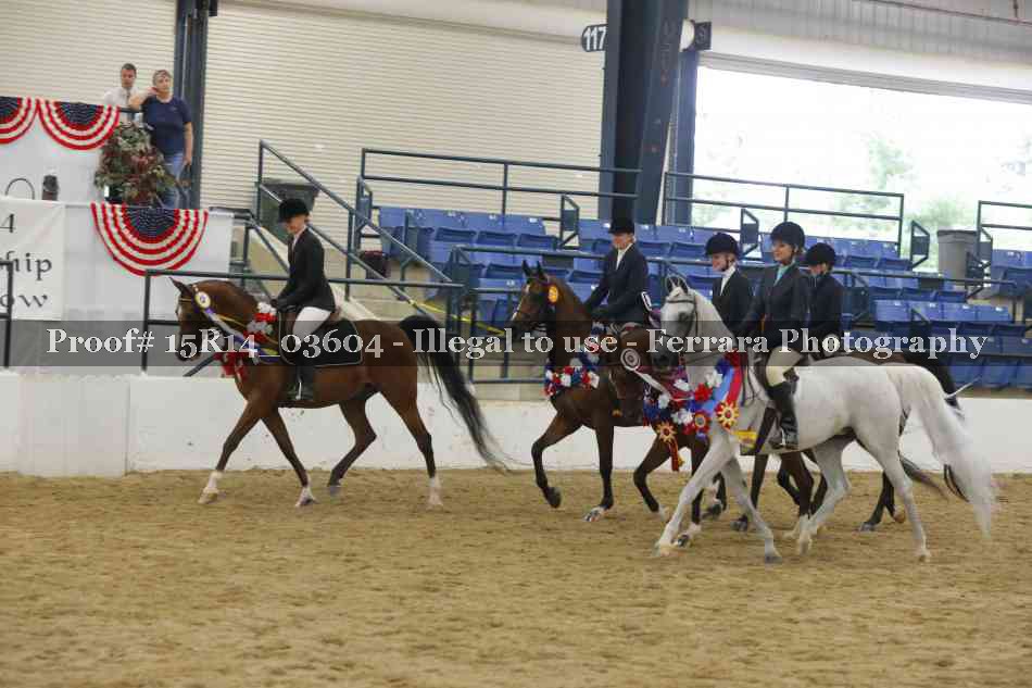 Proof Number 15R14_03604