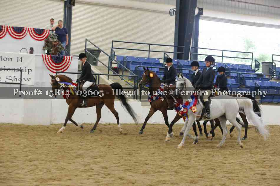Proof Number 15R14_03605