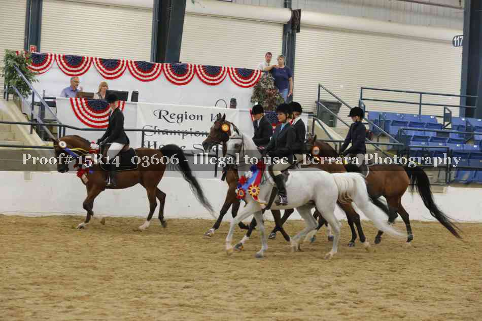 Proof Number 15R14_03606