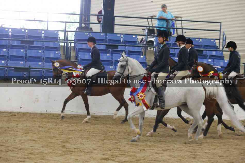Proof Number 15R14_03607