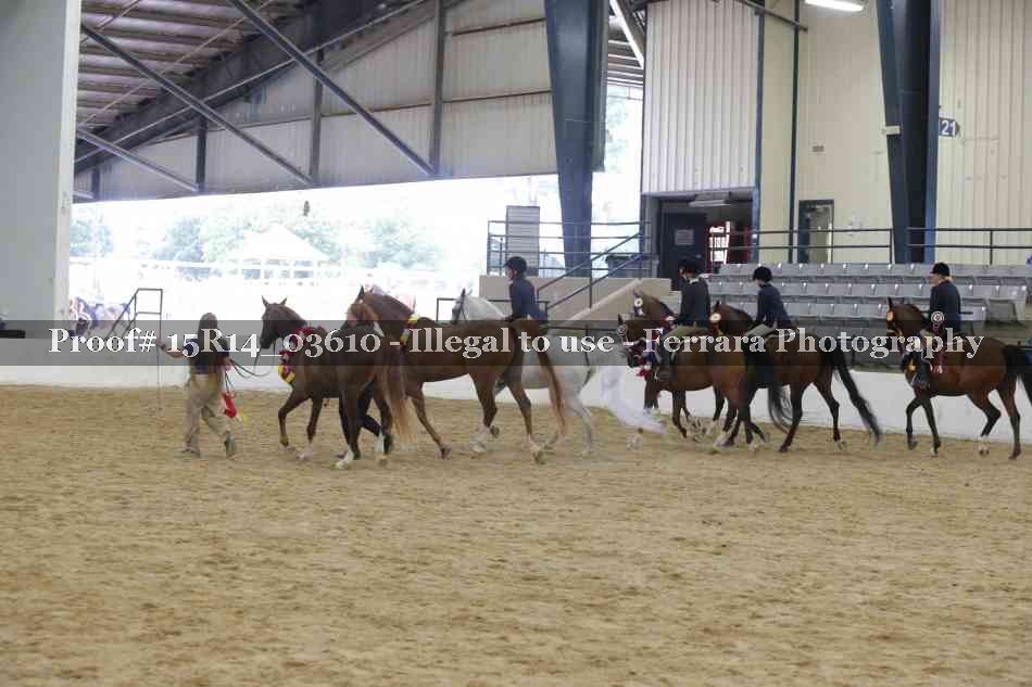 Proof Number 15R14_03610