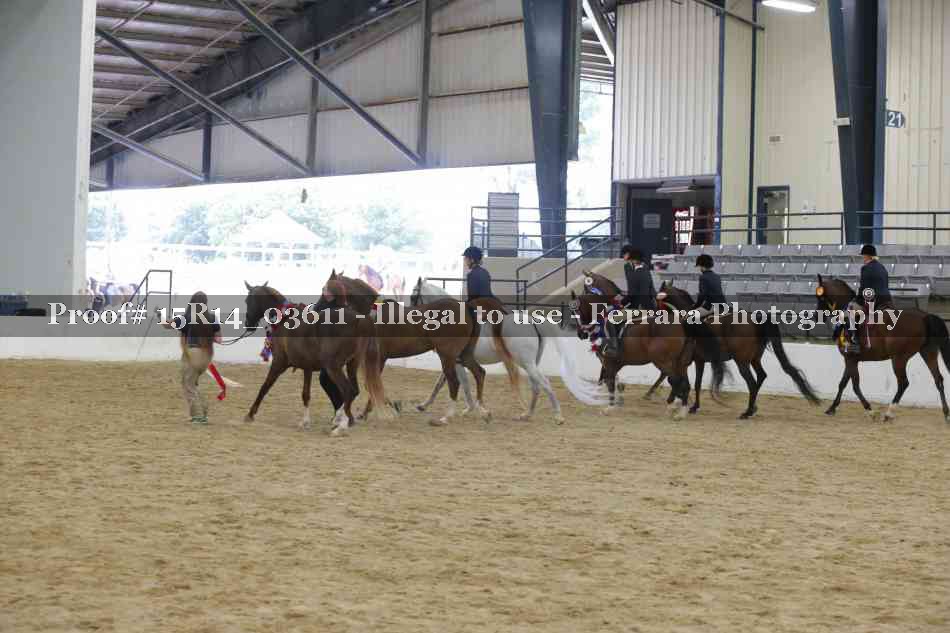 Proof Number 15R14_03611