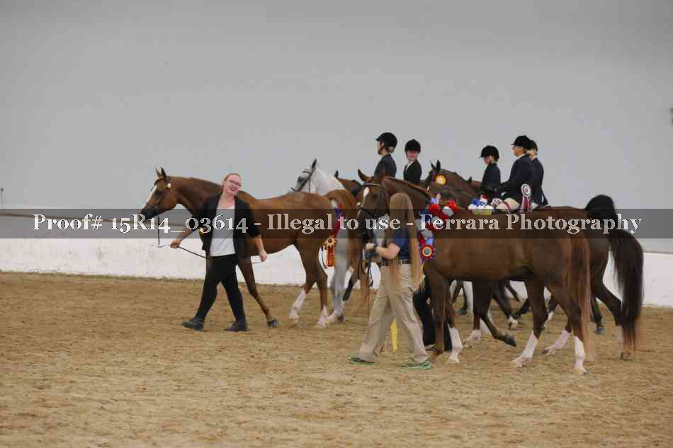 Proof Number 15R14_03614