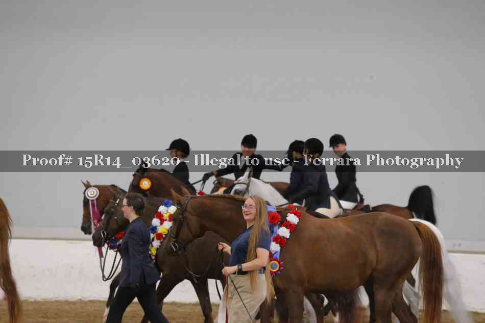 Proof Number 15R14_03620