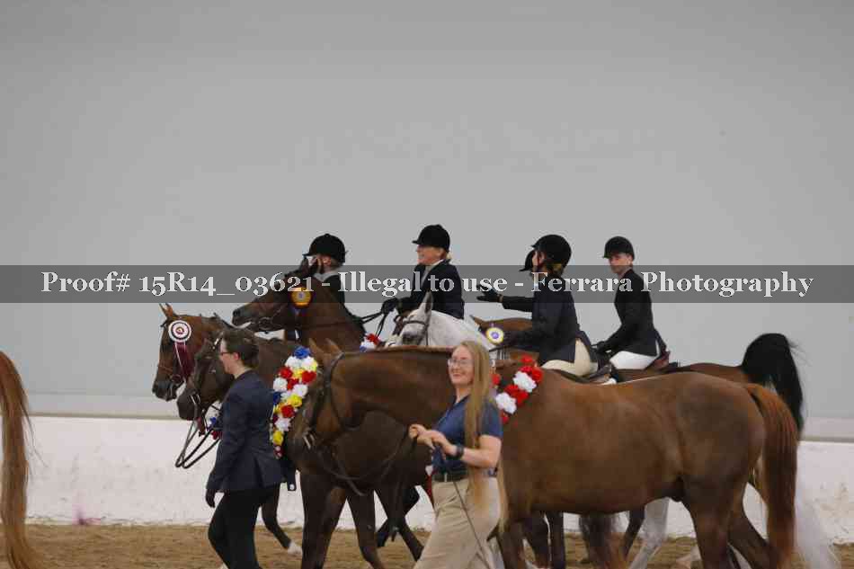 Proof Number 15R14_03621