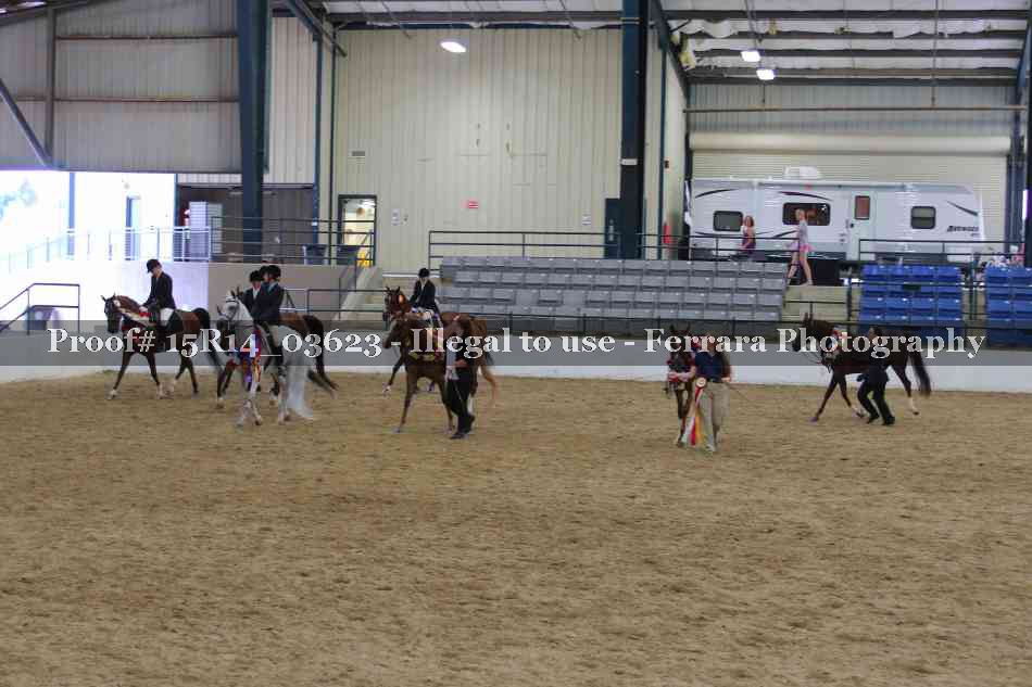 Proof Number 15R14_03623