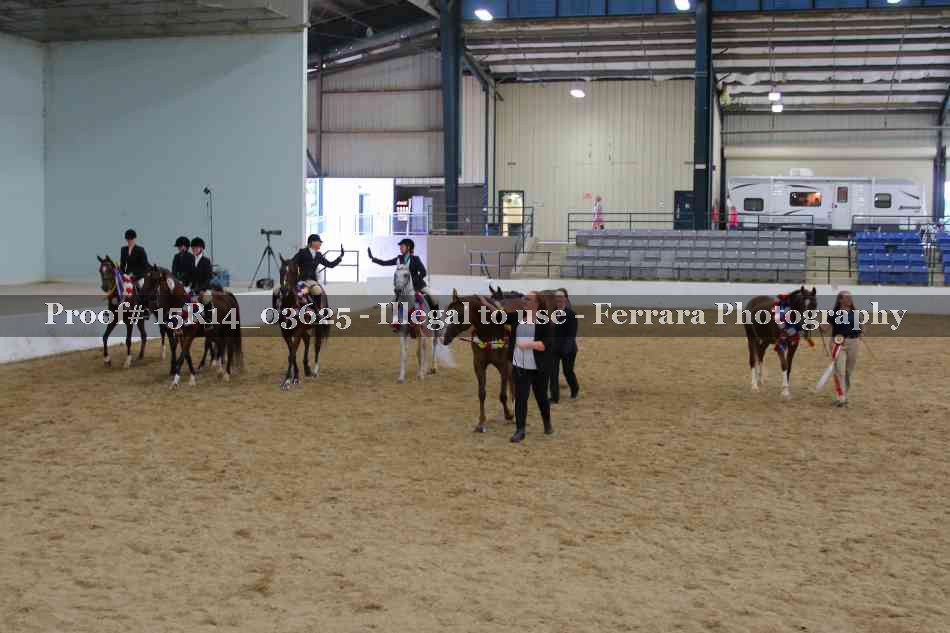 Proof Number 15R14_03625