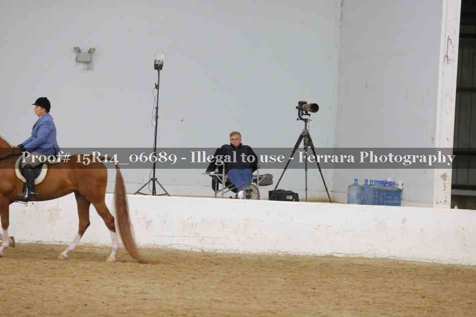 Proof Number 15R14_06689