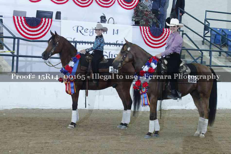 Proof Number 15R14_00165
