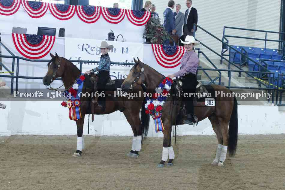 Proof Number 15R14_00166