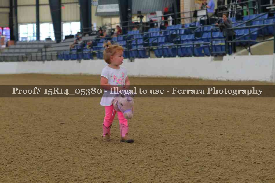 Proof Number 15R14_05380