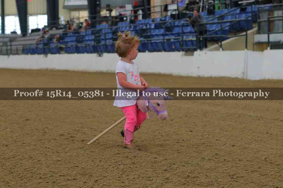 Proof Number 15R14_05381