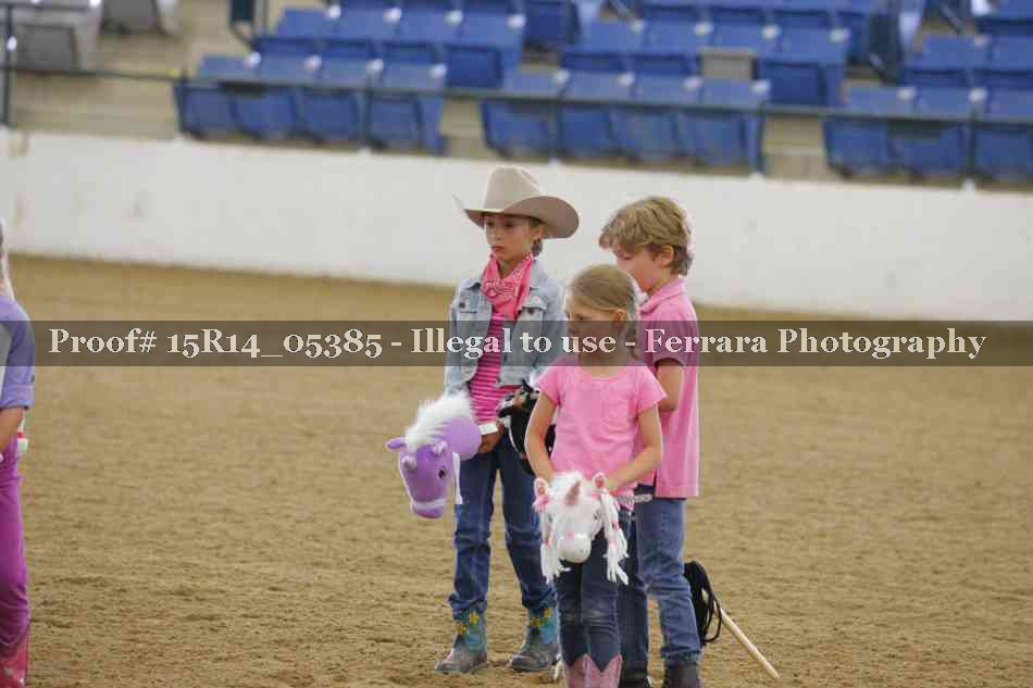 Proof Number 15R14_05385