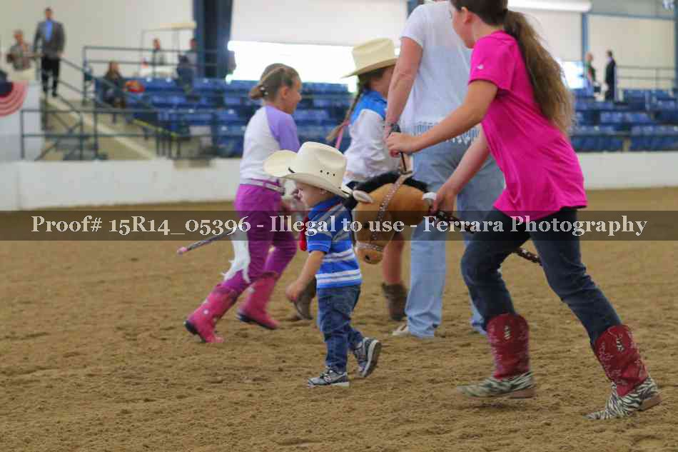 Proof Number 15R14_05396