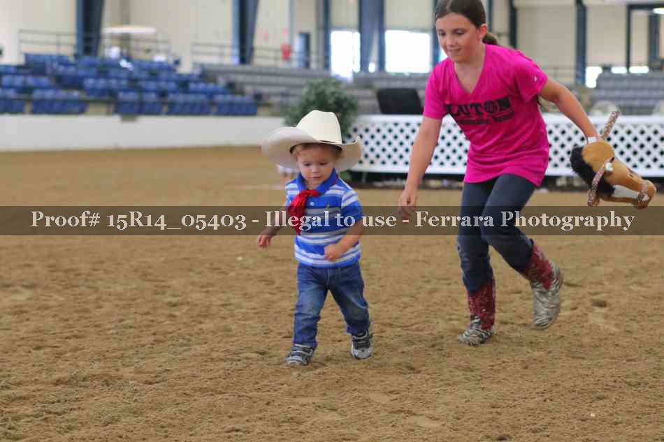 Proof Number 15R14_05403