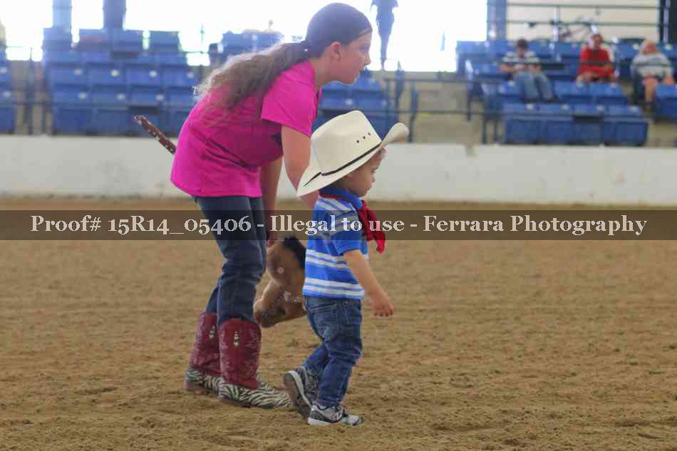 Proof Number 15R14_05406