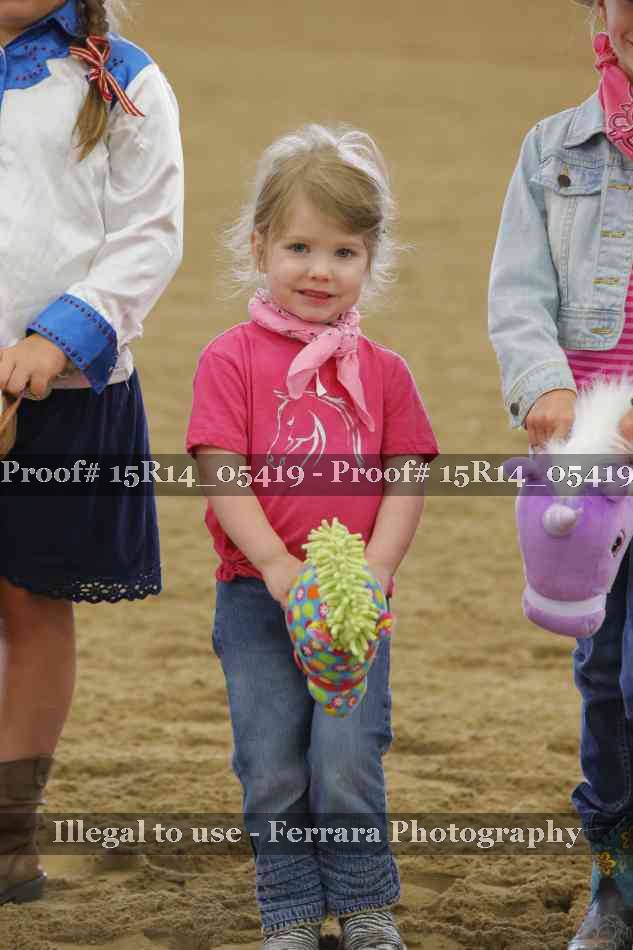 Proof Number 15R14_05419