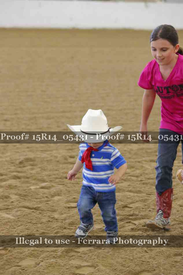 Proof Number 15R14_05431