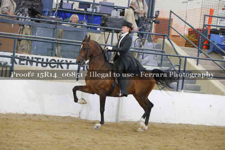 Proof Number 15R14_06851