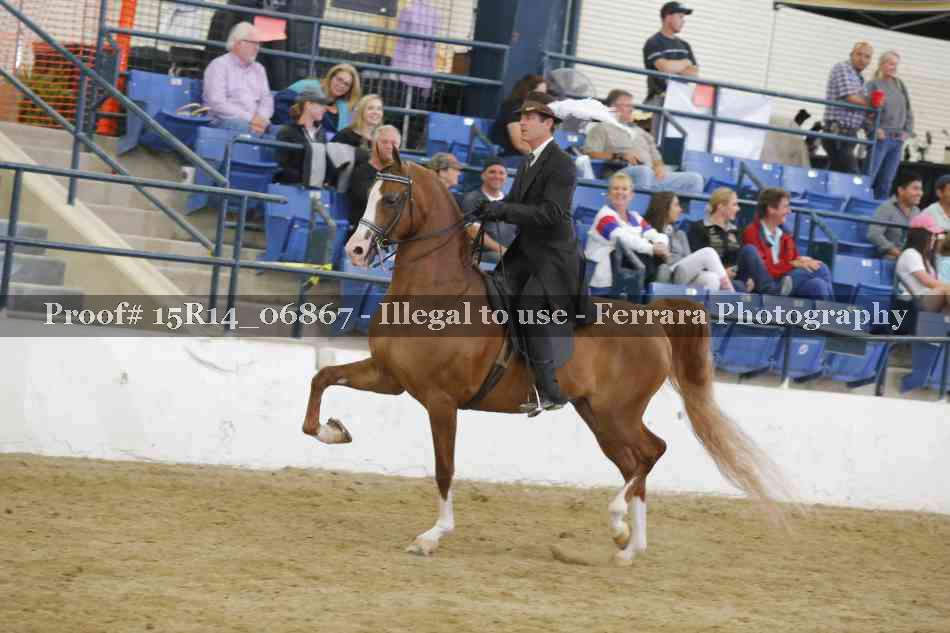 Proof Number 15R14_06867