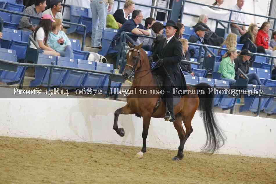 Proof Number 15R14_06872