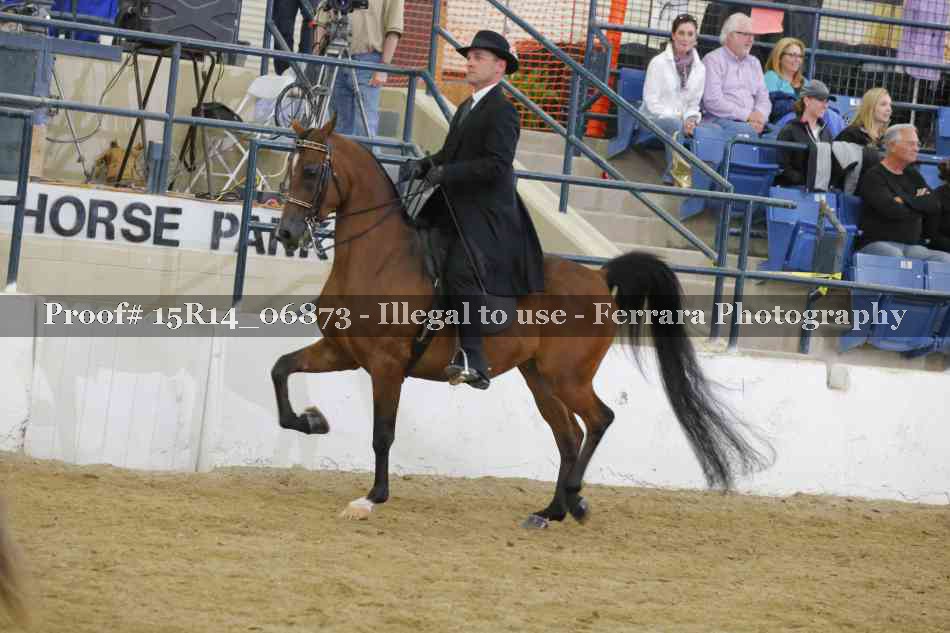 Proof Number 15R14_06873
