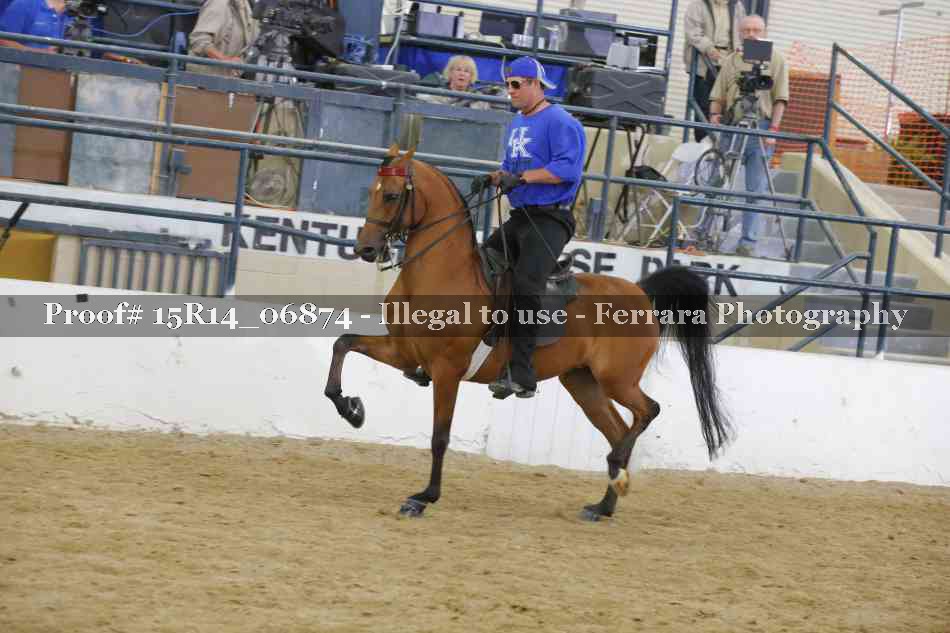 Proof Number 15R14_06874