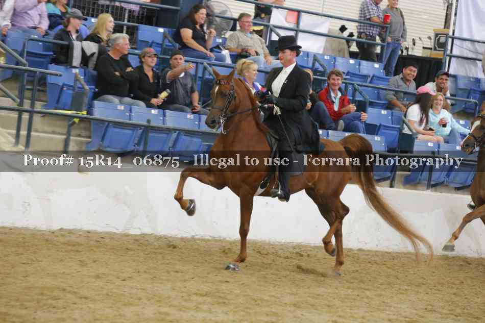 Proof Number 15R14_06875