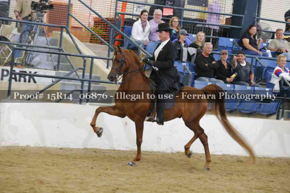 Proof Number 15R14_06876