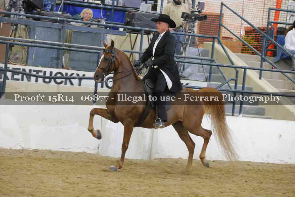 Proof Number 15R14_06877