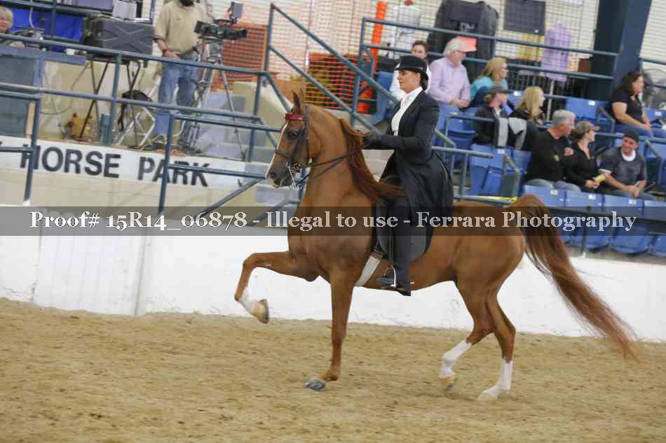 Proof Number 15R14_06878