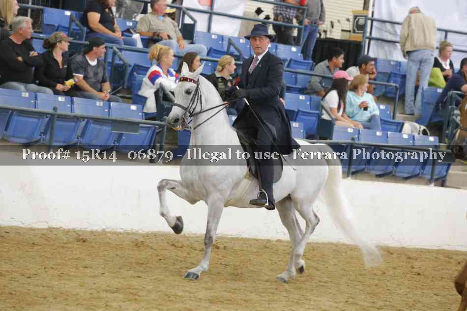 Proof Number 15R14_06879
