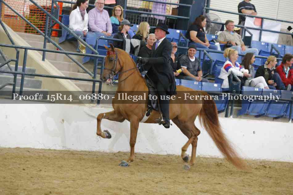 Proof Number 15R14_06880