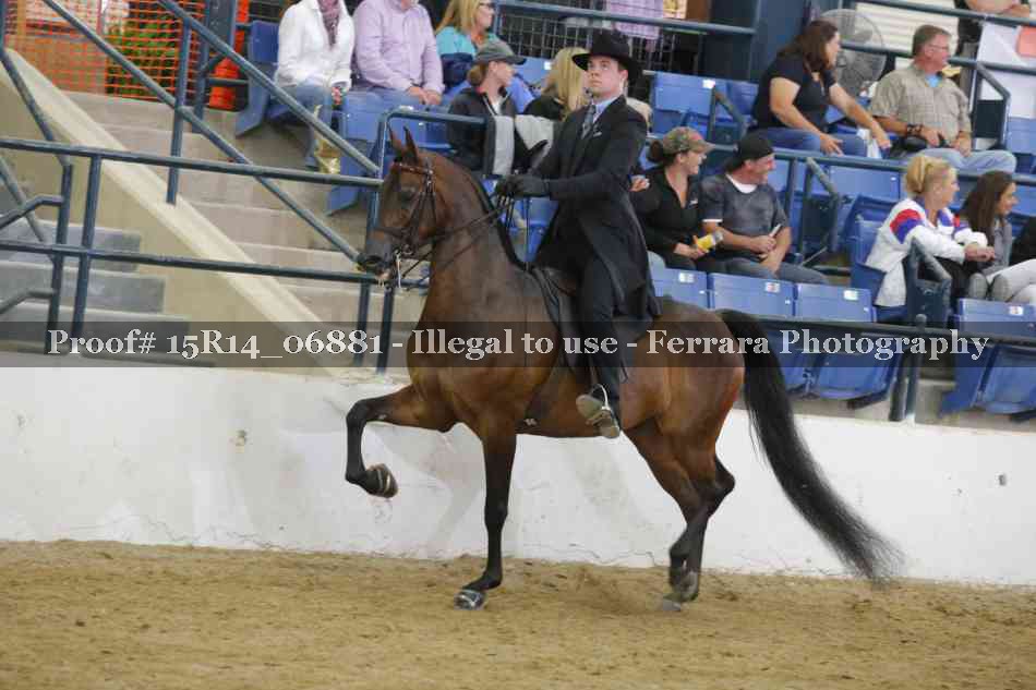 Proof Number 15R14_06881