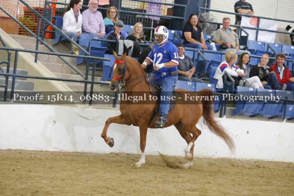 Proof Number 15R14_06883