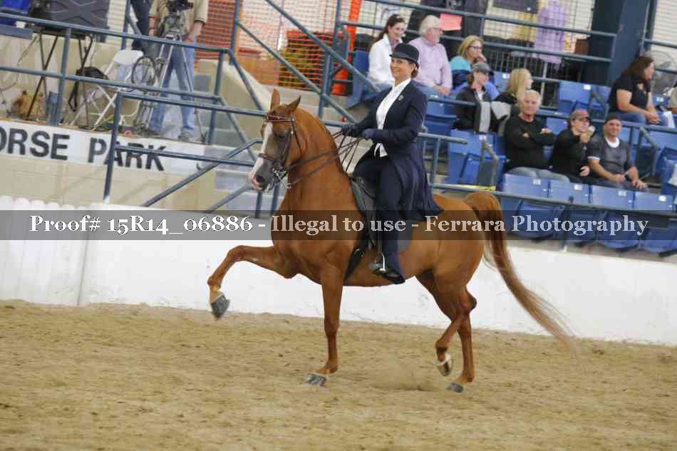 Proof Number 15R14_06886