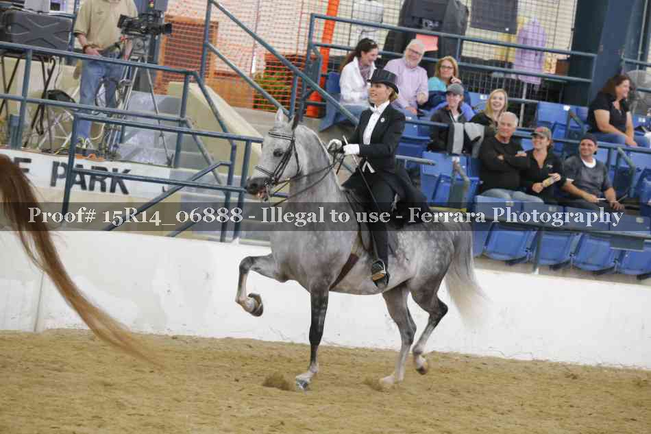 Proof Number 15R14_06888