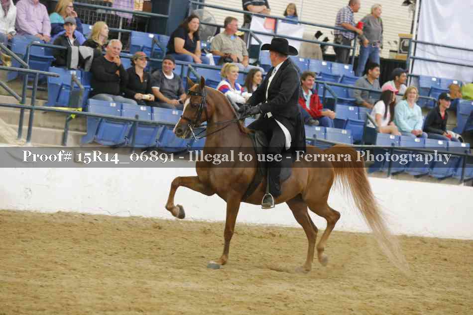 Proof Number 15R14_06891