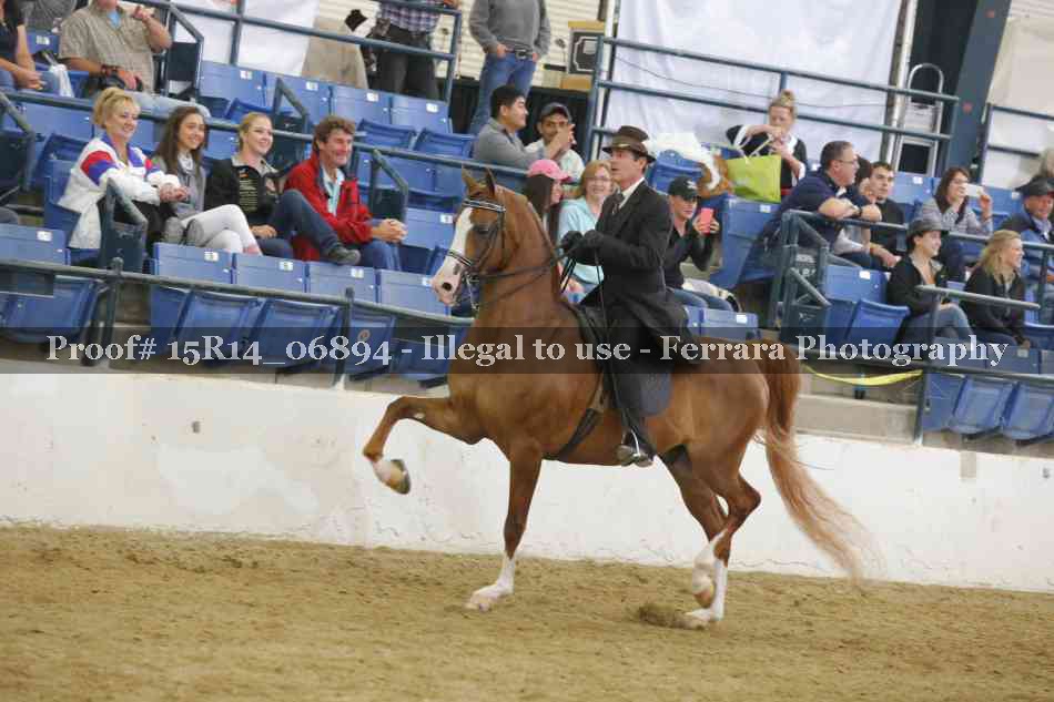 Proof Number 15R14_06894