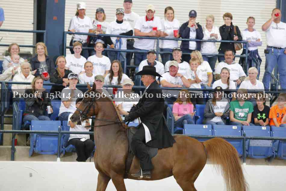 Proof Number 15R14_06896