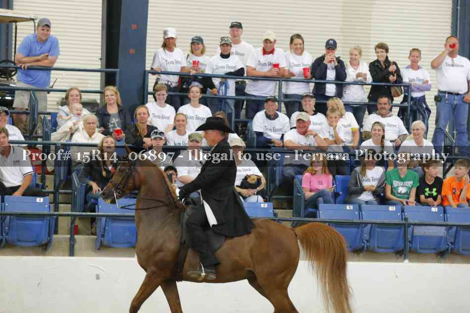 Proof Number 15R14_06897