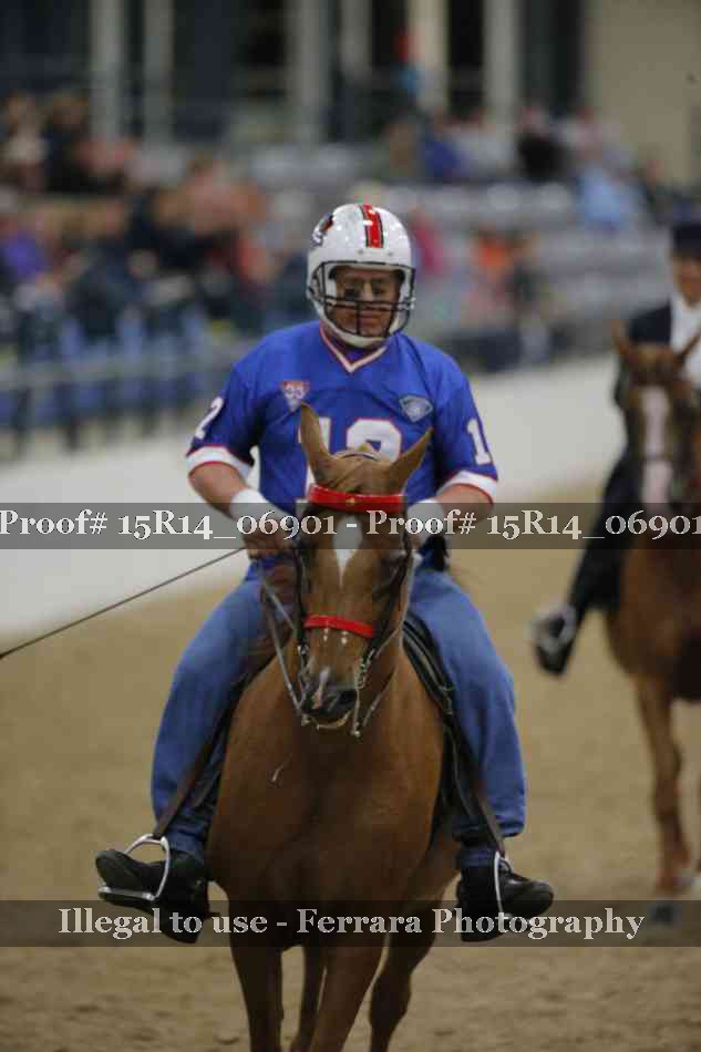 Proof Number 15R14_06901
