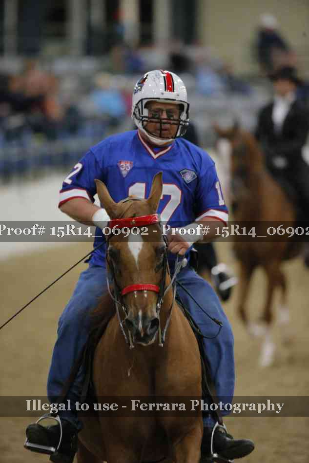 Proof Number 15R14_06902