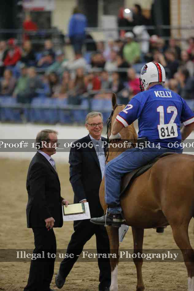 Proof Number 15R14_06906