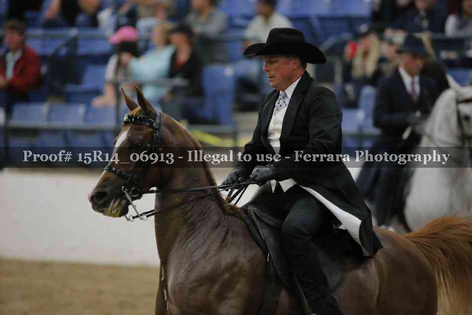 Proof Number 15R14_06913