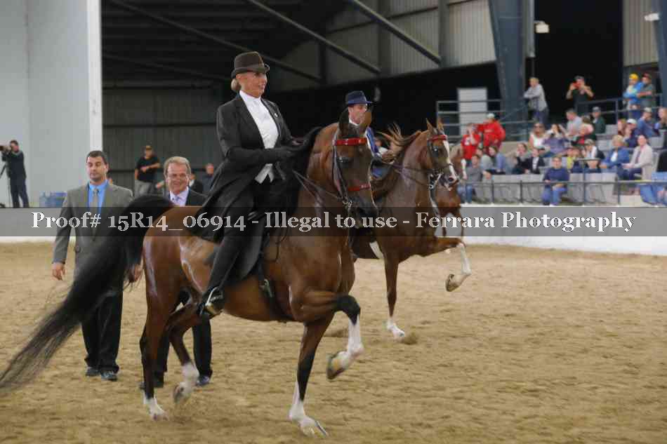 Proof Number 15R14_06914