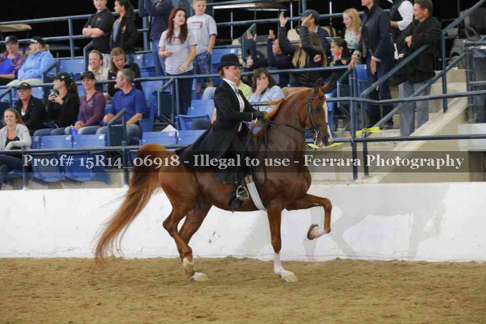 Proof Number 15R14_06918