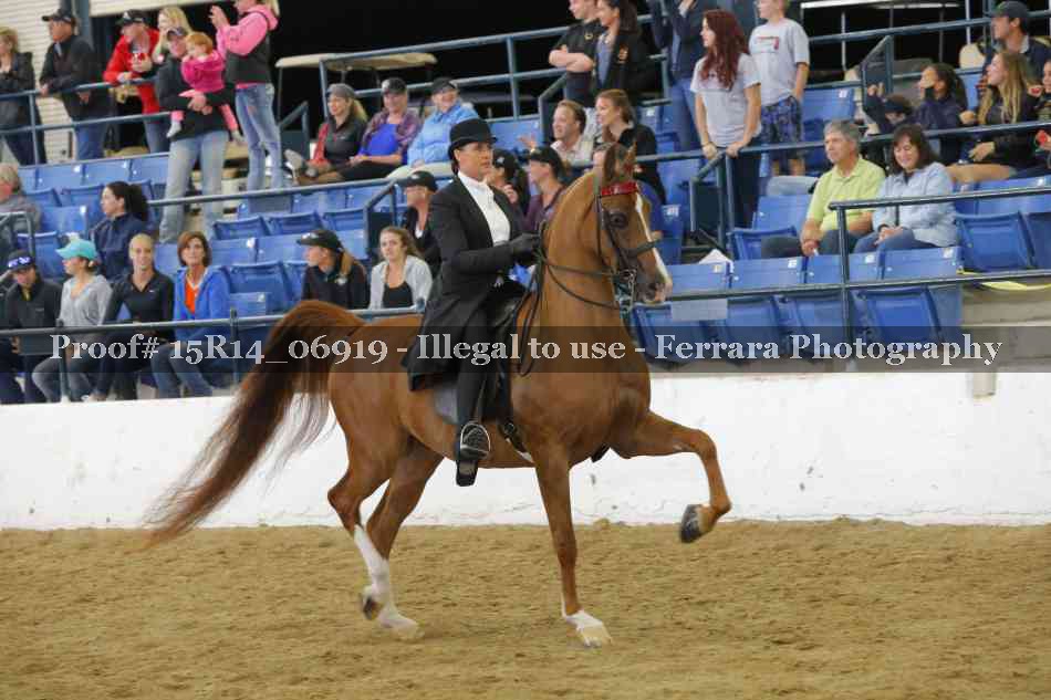 Proof Number 15R14_06919